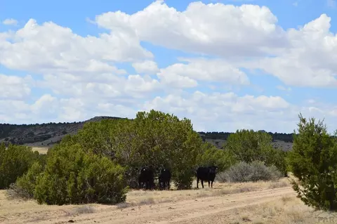 tbd Claymine Rd, Rye, CO 81069 photo 12