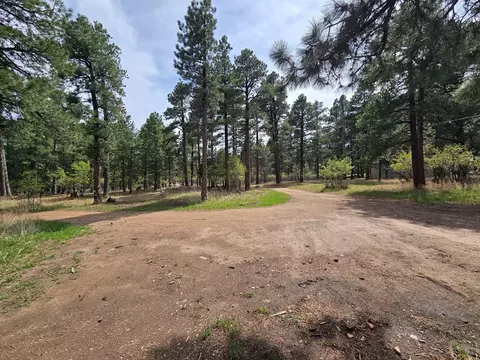 Exterior - 8229 Green Ln, Rye, CO 81069 photo 5 of 6