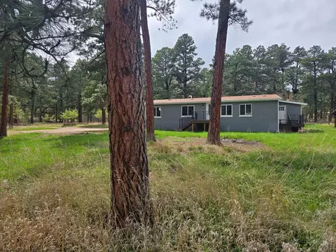Exterior - 8229 Green Ln, Rye, CO 81069 photo 6 of 6