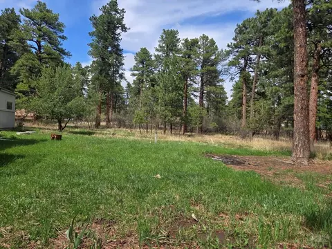 Exterior - 8229 Green Ln, Rye, CO 81069 photo 2 of 6