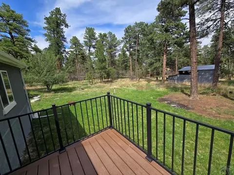 Exterior - 8229 Green Ln, Rye, CO 81069 photo 3 of 6