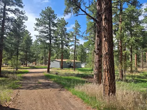 Other - 8229 Green Ln, Rye, CO 81069 photo 1 of 9