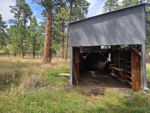 Other - 8229 Green Ln, Rye, CO 81069 photo 8 of 9