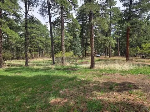 Other - 8229 Green Ln, Rye, CO 81069 photo 7 of 9