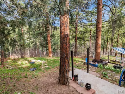Exterior - 9020 Pine Ave, Beulah, CO 81023 photo 8 of 12