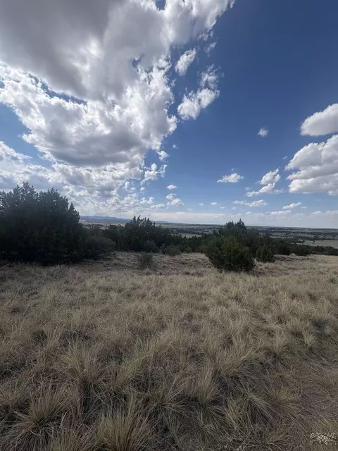 lot558 Shavano Dr, Colorado City, CO 81019