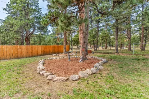 Exterior - 8172 Birch Dr, Rye, CO 81069 photo 24 of 28