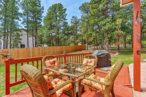Exterior - 8172 Birch Dr, Rye, CO 81069 photo 13 of 28