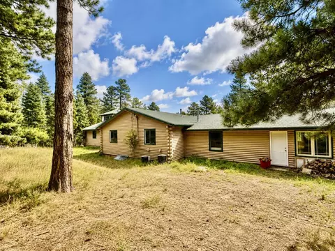 Exterior - 10631 Paul Ln, Rye, CO 81069 photo 3 of 5