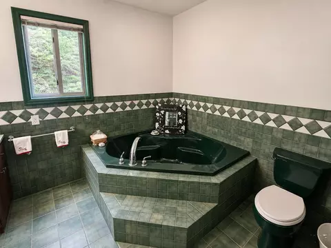 Bath - 10631 Paul Ln, Rye, CO 81069 photo 3 of 6