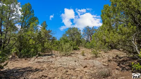 tbd Pickney Rd, Rye, CO 81069 photo 33