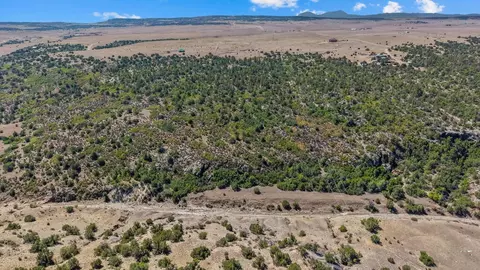 tbd Pickney Rd, Rye, CO 81069 photo 6