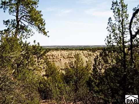 tbd Pickney Rd, Rye, CO 81069 photo 20