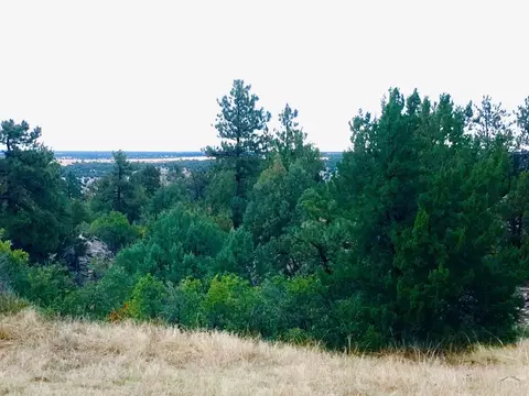 tbd Pickney Rd, Rye, CO 81069 photo 31