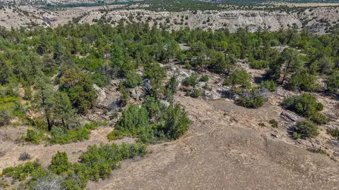 tbd Pickney Rd, Rye, CO 81069 photo 2