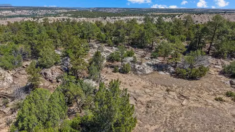 tbd Pickney Rd, Rye, CO 81069 photo 15