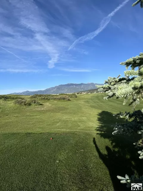 tbd Pickney Rd, Rye, CO 81069 photo 37