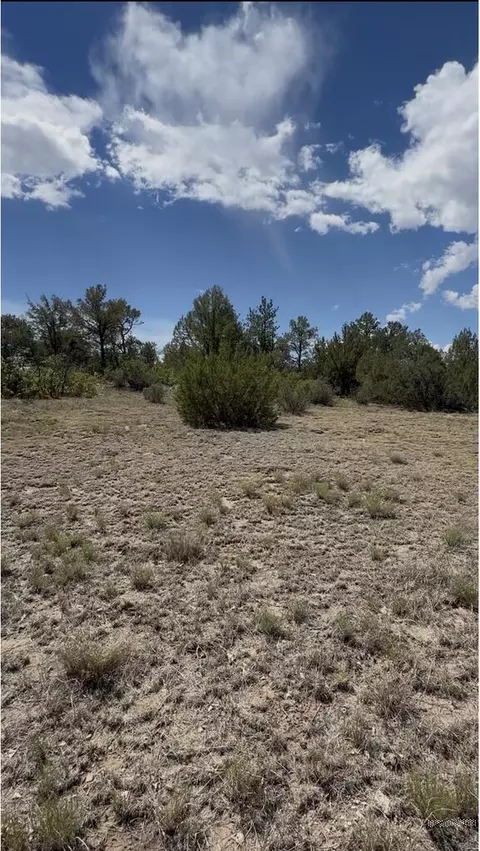 tbd Pickney Rd, Rye, CO 81069 photo 23