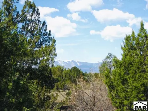 tbd Pickney Rd, Rye, CO 81069 photo 21