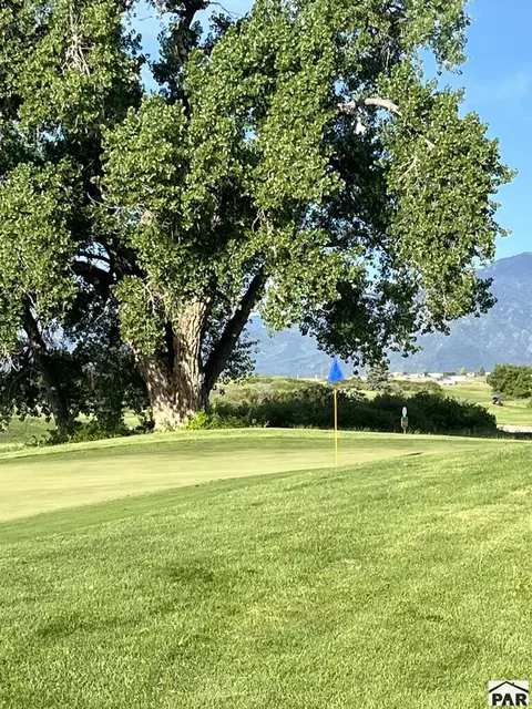 tbd Pickney Rd, Rye, CO 81069 photo 36