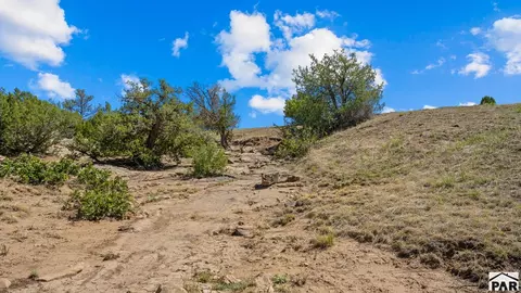 tbd Pickney Rd, Rye, CO 81069 photo 34