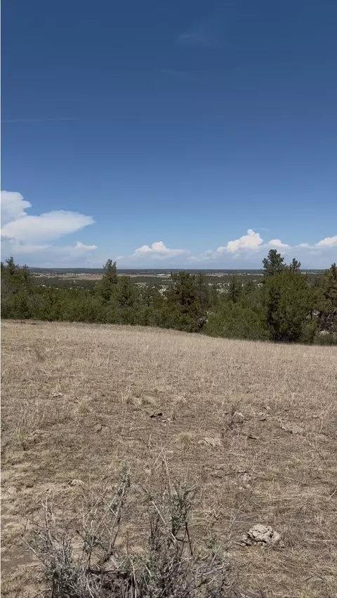tbd Pickney Rd, Rye, CO 81069 photo 24