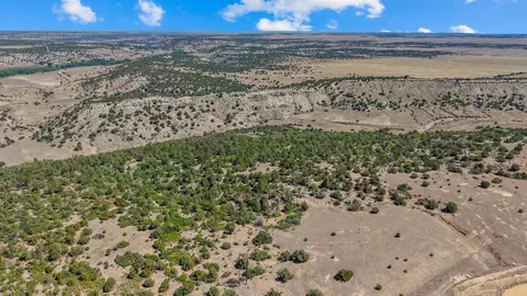 tbd Pickney Rd, Rye, CO 81069 photo 14