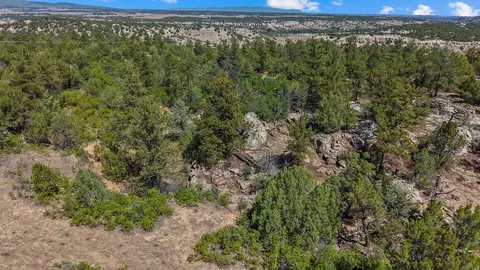 tbd Pickney Rd, Rye, CO 81069 photo 16