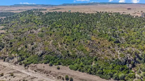 tbd Pickney Rd, Rye, CO 81069 photo 8