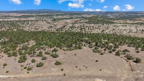 tbd Pickney Rd, Rye, CO 81069 photo 3