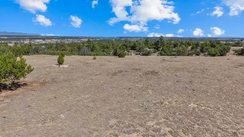 tbd Pickney Rd, Rye, CO 81069 photo 17