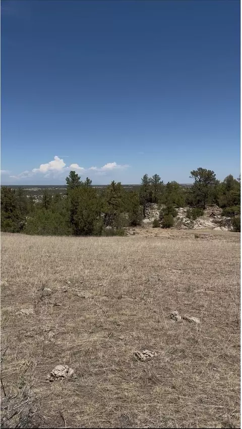tbd Pickney Rd, Rye, CO 81069 photo 25