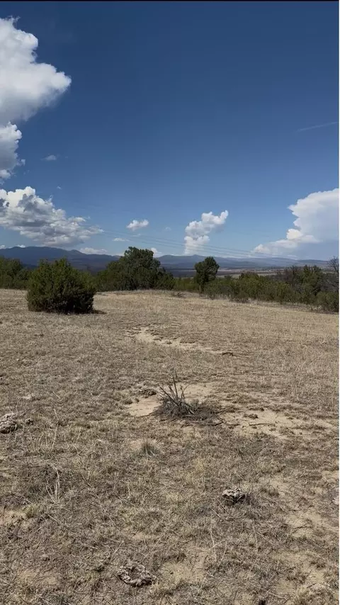 tbd Pickney Rd, Rye, CO 81069 photo 26