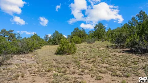 tbd Pickney Rd, Rye, CO 81069 photo 32