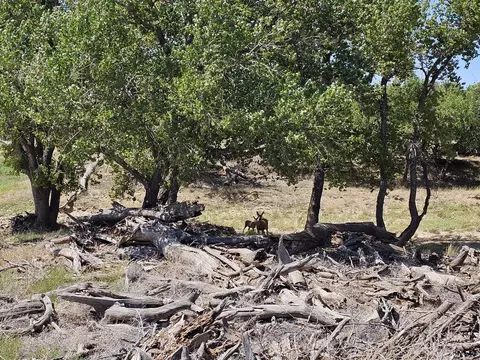 Other - 30485 County Rd 24, Springfield, CO 81073 photo 33 of 46