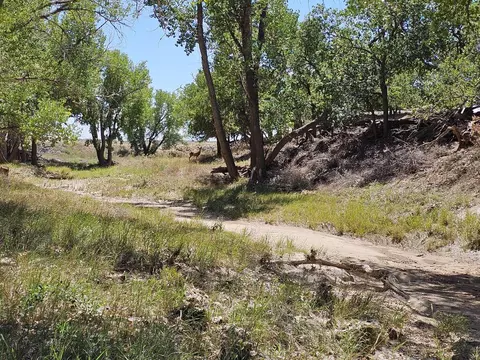 Other - 30485 County Rd 24, Springfield, CO 81073 photo 32 of 46