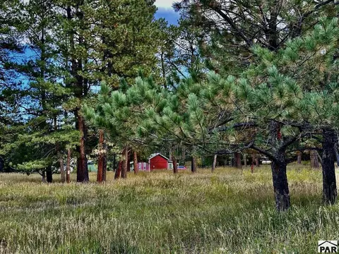 Exterior - 8695 Pine Dr, Beulah, CO 81023 photo 43 of 55