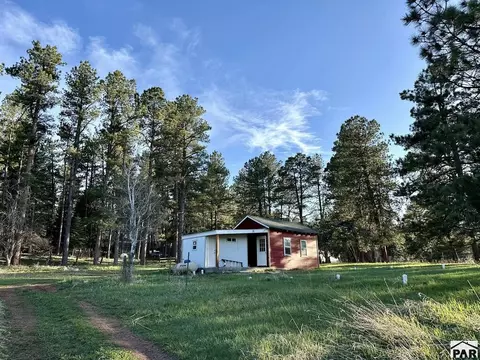Other - 8695 Pine Dr, Beulah, CO 81023 photo 24 of 37