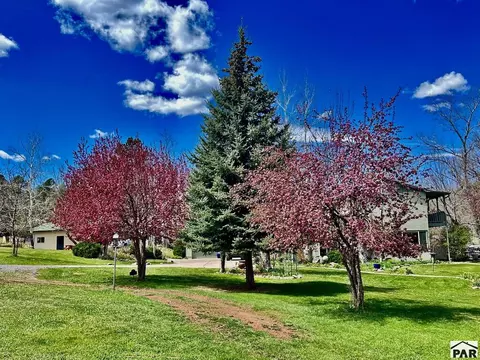 Exterior - 8695 Pine Dr, Beulah, CO 81023 photo 34 of 55