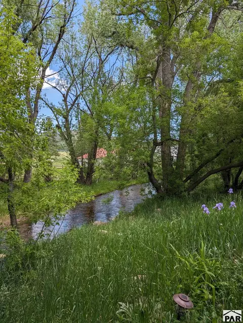 Other - 8695 Pine Dr, Beulah, CO 81023 photo 35 of 37