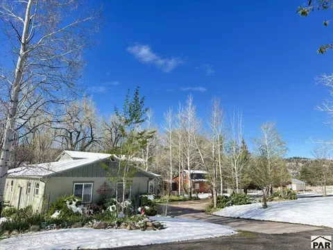 Exterior - 8695 Pine Dr, Beulah, CO 81023 photo 53 of 55