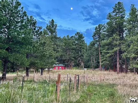 Exterior - 8695 Pine Dr, Beulah, CO 81023 photo 46 of 55