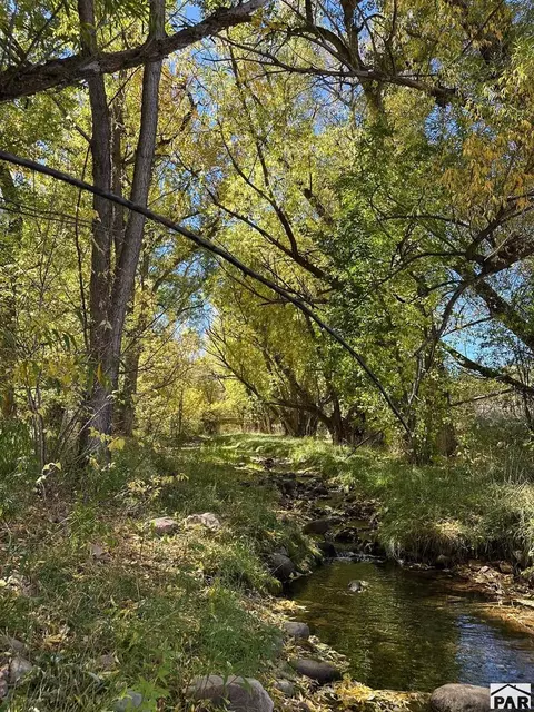 Other - 8695 Pine Dr, Beulah, CO 81023 photo 27 of 37