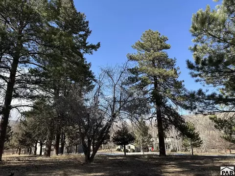 Exterior - 8695 Pine Dr, Beulah, CO 81023 photo 42 of 55