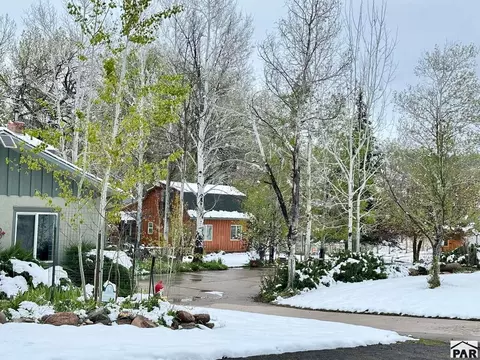 Exterior - 8695 Pine Dr, Beulah, CO 81023 photo 54 of 55