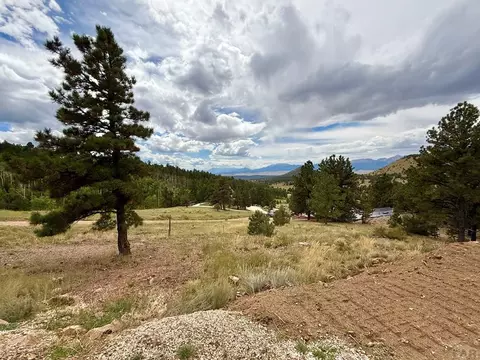 Other - 741 Junkins Loop, Westcliffe, CO 81252 photo 11 of 26