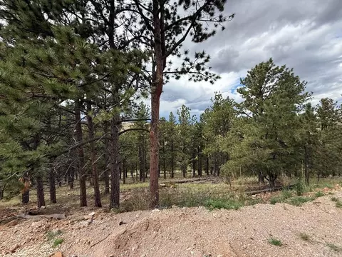 Other - 741 Junkins Loop, Westcliffe, CO 81252 photo 3 of 26