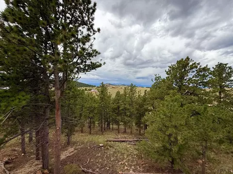 View/Area - 741 Junkins Loop, Westcliffe, CO 81252 photo 1 of 2