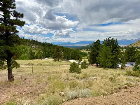 Other - 741 Junkins Loop, Westcliffe, CO 81252 photo 2 of 26