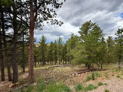 Other - 741 Junkins Loop, Westcliffe, CO 81252 photo 4 of 26